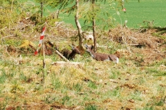IMG_20200509_144938