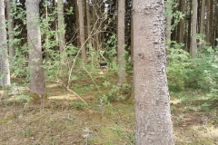 IMG_20200509_145117
