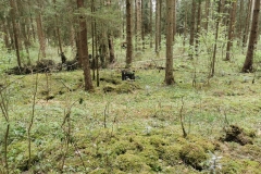 IMG_20200509_150020