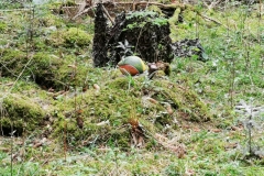 IMG_20200509_150035