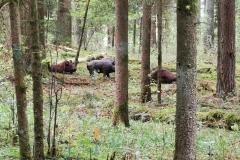 IMG_20200509_150249