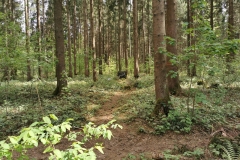 IMG_20200509_150710