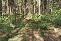 IMG_20200509_151954